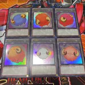 遊戯王【英語版】羊トークン コンプ6種 ウルトラ!