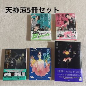 天祢涼☆その血は瞳に映らない 罪びとの手 彼女が花を… 漆原翔太郎 議員・都知事☆5冊セット