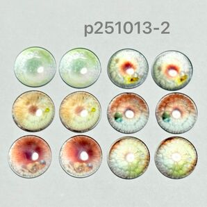 p1013-2 アイチップ14mm