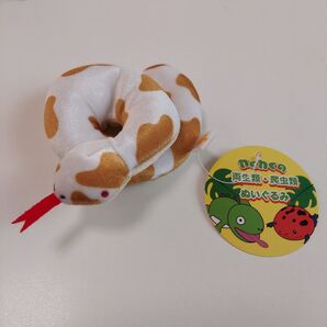 パイソン アルビノ わくわくの森 両生類・爬虫類 ぬいぐるみ 新品タグ付き