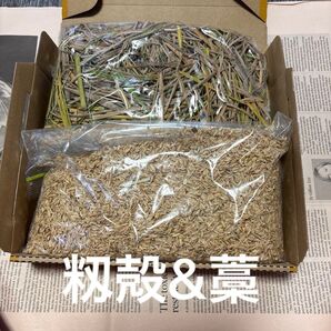 2種類 ガーデニングに 籾殻と藁 コンパクトbox R7 10月 ちょこっとサイズ