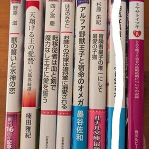 小説 BL文庫 よりどり2冊で500円 (★マーク付の文庫のみ)
