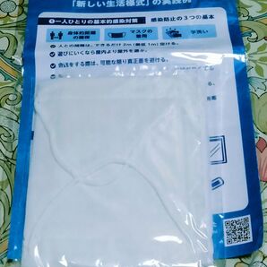 【未開封】 厚生労働省 布マスク アベノマスク 個包装 2枚入り ガーゼ マスク