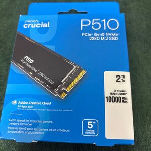 クルーシャル nvme SSD 2TB CT2000P510SSD8