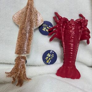 【カテゴリー変更可能】スクイーズ 海の生き物 イカ 伊勢海老