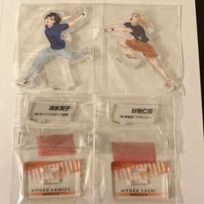 ハイキュー 烏野 マネージャー 清水潔子 谷地仁花