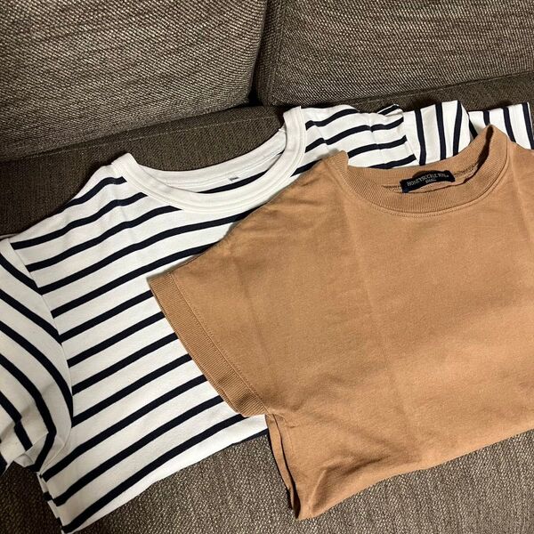 レディース 半袖 カットソー トップス ボーダー ブラウン Sサイズ Mサイズ