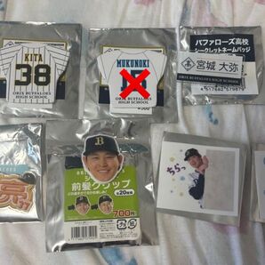 オリックスバファローズ 写真のもの