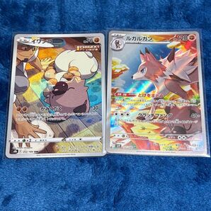 進化セット イワンコ ルガルガン_