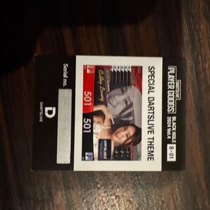 DARTSLIVE SPECIAL THEME CATHY LEUNG PLAYER GOODS B-01 キャシーリョン