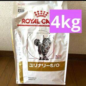 ロイヤルカナン ユリナリーS/O 4kg 猫 キャットフード