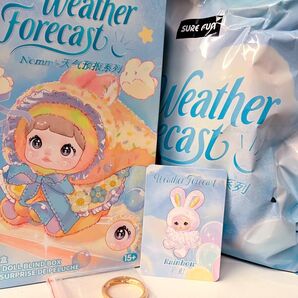 Nommi 天気予報 Rainbow 虹 彩虹 にじ TOPTOY ぬいぐるみ ノミちゃん