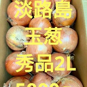 淡路島玉葱 秀品2L5000g