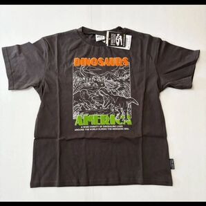 福井県立恐竜博物館コラボ アニバーサリーTシャツ 140cm