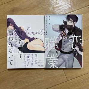 BL 漫画 コミック 本 金井桂 ツバダエキ