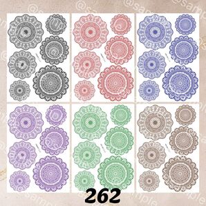 【No262】レースvivid