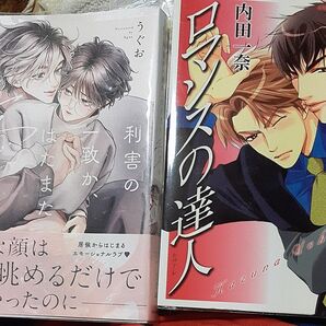 お値下げ交渉、単品交渉以外でしたら気後れせず質問可能!商業 BL 新刊含 利害の一致か、はたまた愛か
