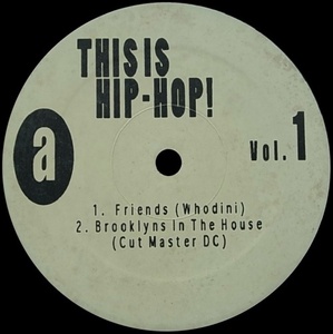 V.A./THIS IS HIP-HOP!