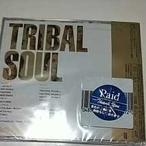 TRIBAL SOUL(初回生産限定盤)(CD DVD、5,151ASIN:.B005XSHPAC.|.JAN:.498　ライブDVDは付属いたしません_画像4