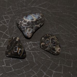 ① 3個 ツリテラアゲート 瑪瑙 巻貝 化石 Turitella Agate