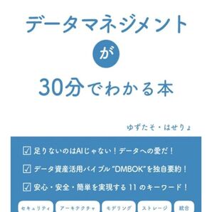 データマネジメントが30分でわかる本 ペーパーバック