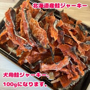 終了間近【北海道産無添加】鮭ジャーキー100g 犬用おやつ