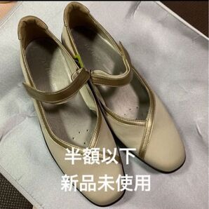 【半額以下】アサヒ トップドライ ゴアテックス パンプス 25cm