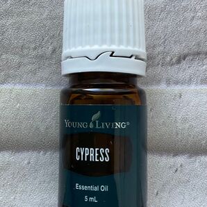 ヤング・リビング サイプレス 5ml エッセンシャルオイル (新品未開封)