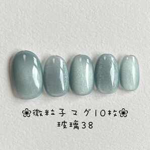 【即購入ok・チップ変更可能・2点以上割引有】マグネットネイルチップ ショートオーバル ニュアンス ハンドメイド 玻璃38