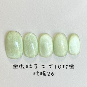 【即購入ok・チップ変更可能・2点以上割引有】マグネットネイルチップ ショートオーバル ニュアンス ハンドメイド 玻璃26