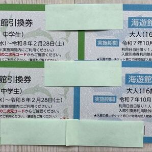 海遊館 チケット 入館券 大人2枚 こども2枚 4枚セット 令和8年2月28日まで 利用除外日あり