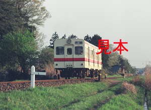 鉄道写真、645ネガデータ、114497650009、関東鉄道、キハ101、関東鉄道常総線、大宝駅付近、1999.04.22、（4064×2976）