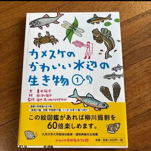カメスケのかわいい水辺の生き物 図鑑 柳川掘割 やながわ有明海水族館