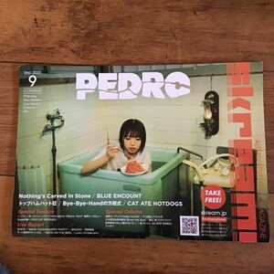 skream pedro TSUTAYA 冊子　音楽　2020.9