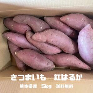 熊本県産 紅はるか さつまいも 5kg