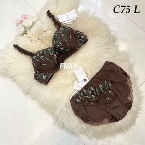 C75 TR3085 トリンプ ゴールドレーベル セット ブラウン