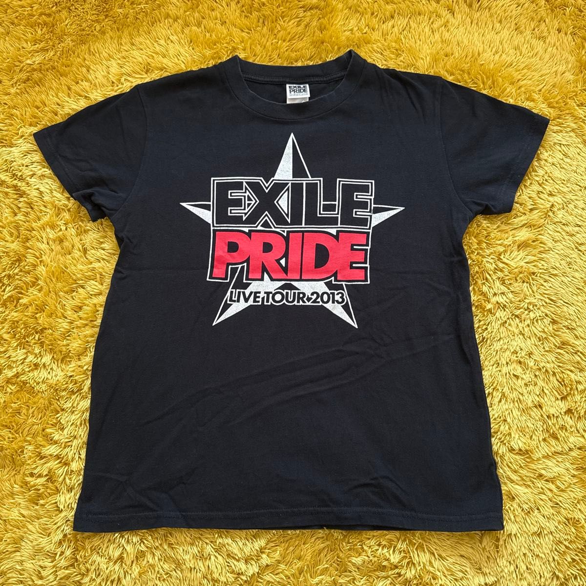 EXILE PRIDE LIVE TOUR 2013 Tシャツ ブラック