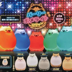 【配送方法変更あり】パーリーポメライト~キリッ~ 全5種コンプリートセット