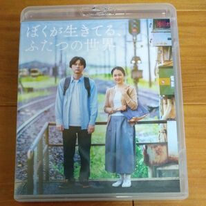 最終値下げ ぼくが生きてる、ふたつの世界 Blu-ray