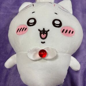 誕生日ハチワレ