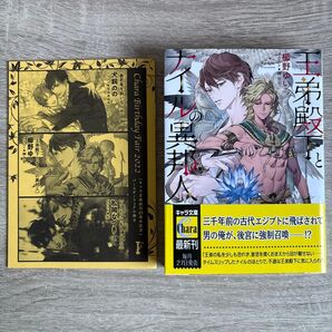 王弟殿下とナイルの異邦人/櫛野ゆい/BL小説