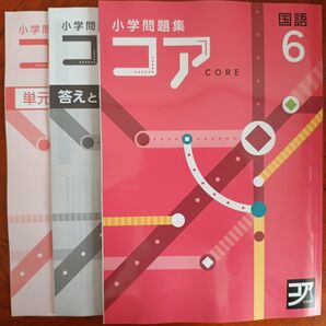 【最新版】 新品 コア問題集 国語 小6【解答付】