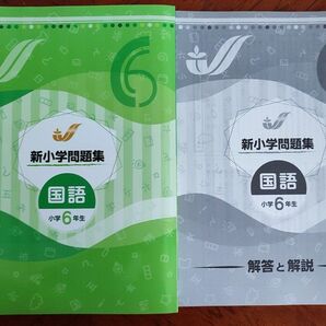 【最新版】 新品 新小学問題集 国語 小6【解答付】