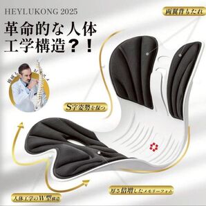 姿勢矯正チェア 猫背矯正 椅子 チェア 座椅子 姿勢矯正 姿勢サポートチェア 骨盤矯正 クッション