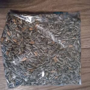 ひまわりの種159g程度