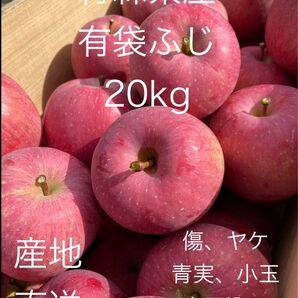 大特価セール 生食可 数量限定 青森県産 有袋ふじ 20kg