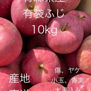 大特価セール 生食可 数量限定 青森県産 有袋ふじ 10kg