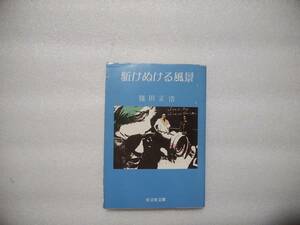 駆けぬける風景　篠田正浩　旺文社文庫　解説・阿久悠