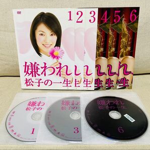 嫌われ松子の一生 DVD 全巻 ドラマ