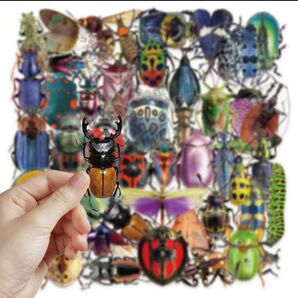 リアル昆虫ステッカー